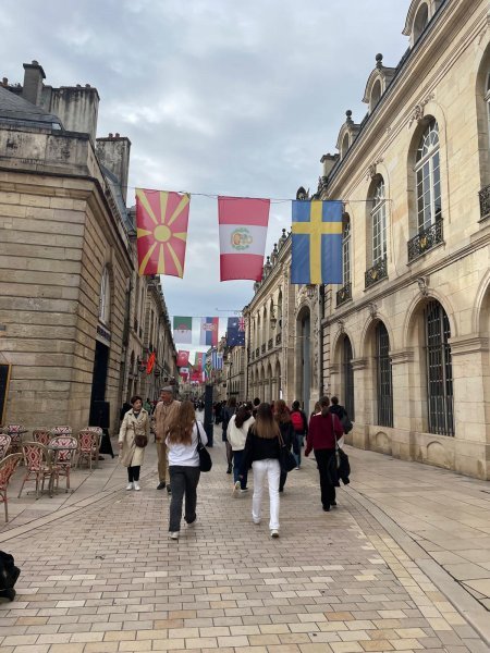 Musée des beaux arts de Dijon